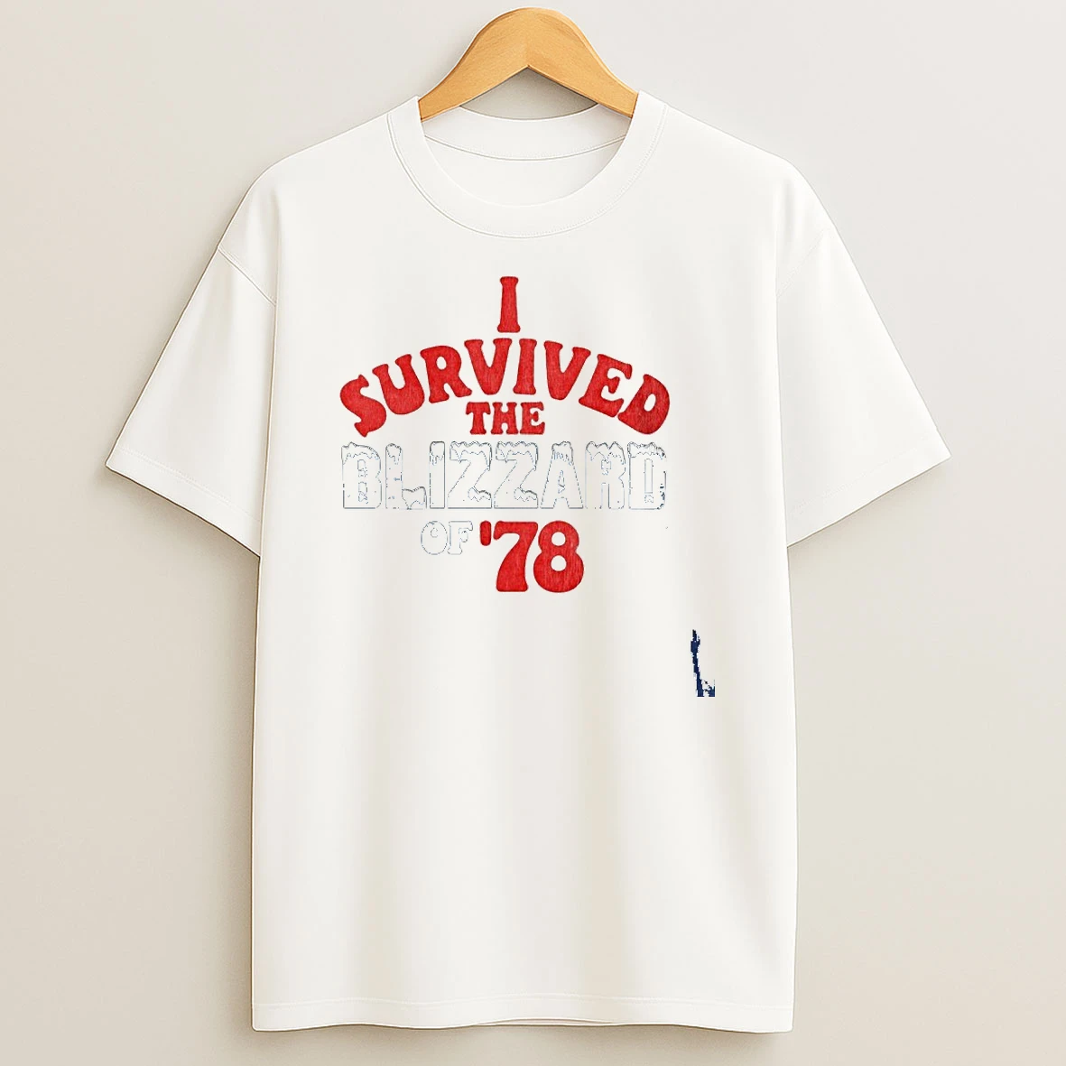 I Survived The The Blizzard Of 78 T Shirt