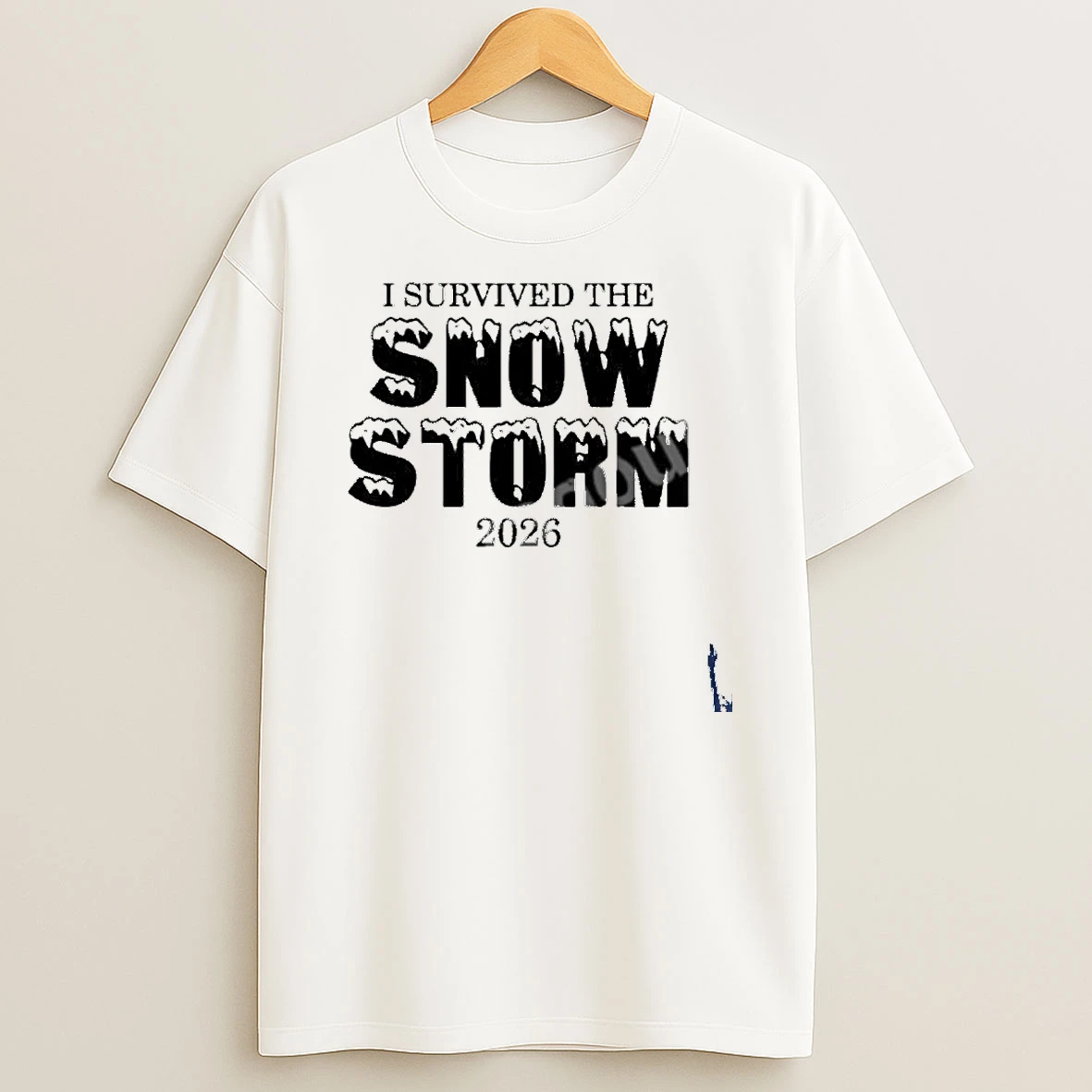 I Survived The The Snow Storm 2026 T Shirt