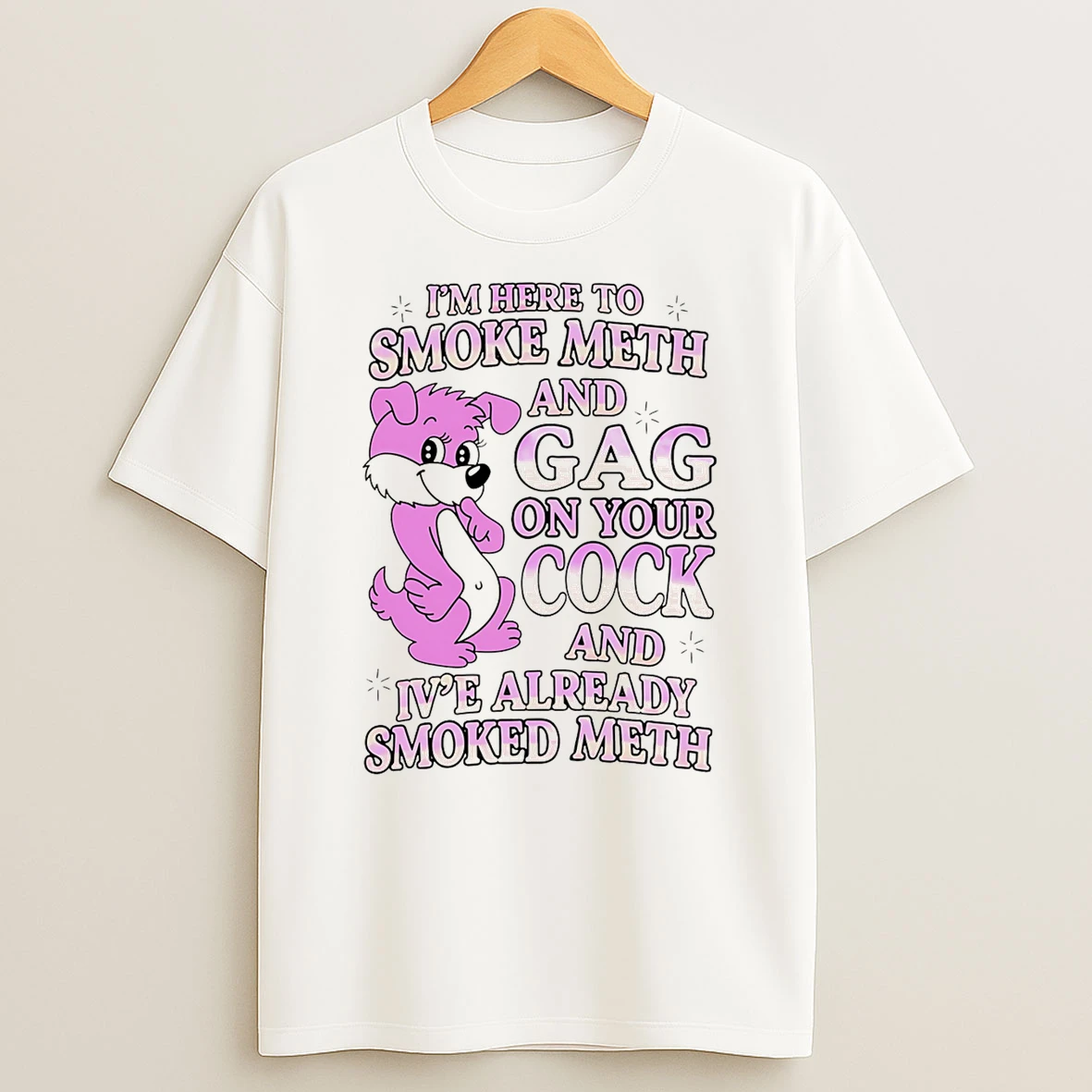 Im Here To Smoke Meth And Gag On Your Cock And Ive Already Smoked Meth T Shirt
