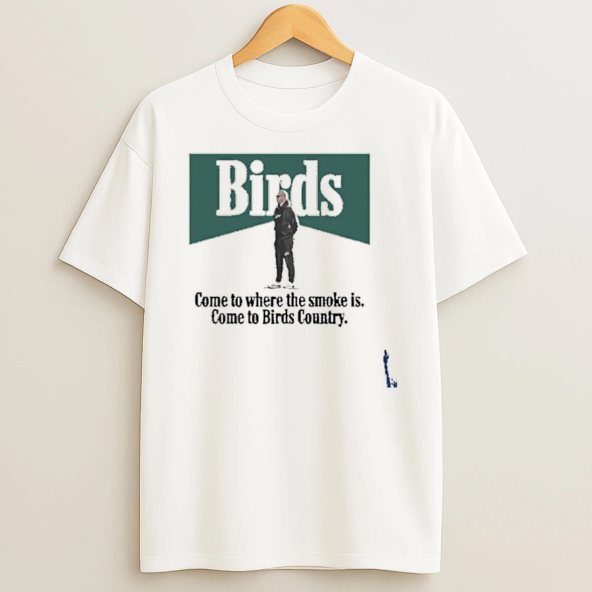 Nick Sirianni Philadelphia Eagles Birds Country T Shirt