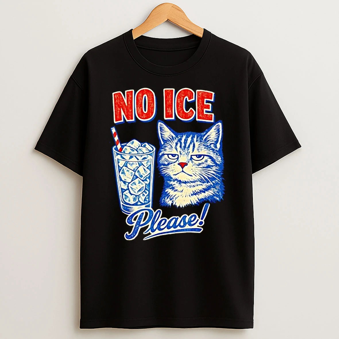 No Ice Please Funny Anti Ice Cat T Shirt