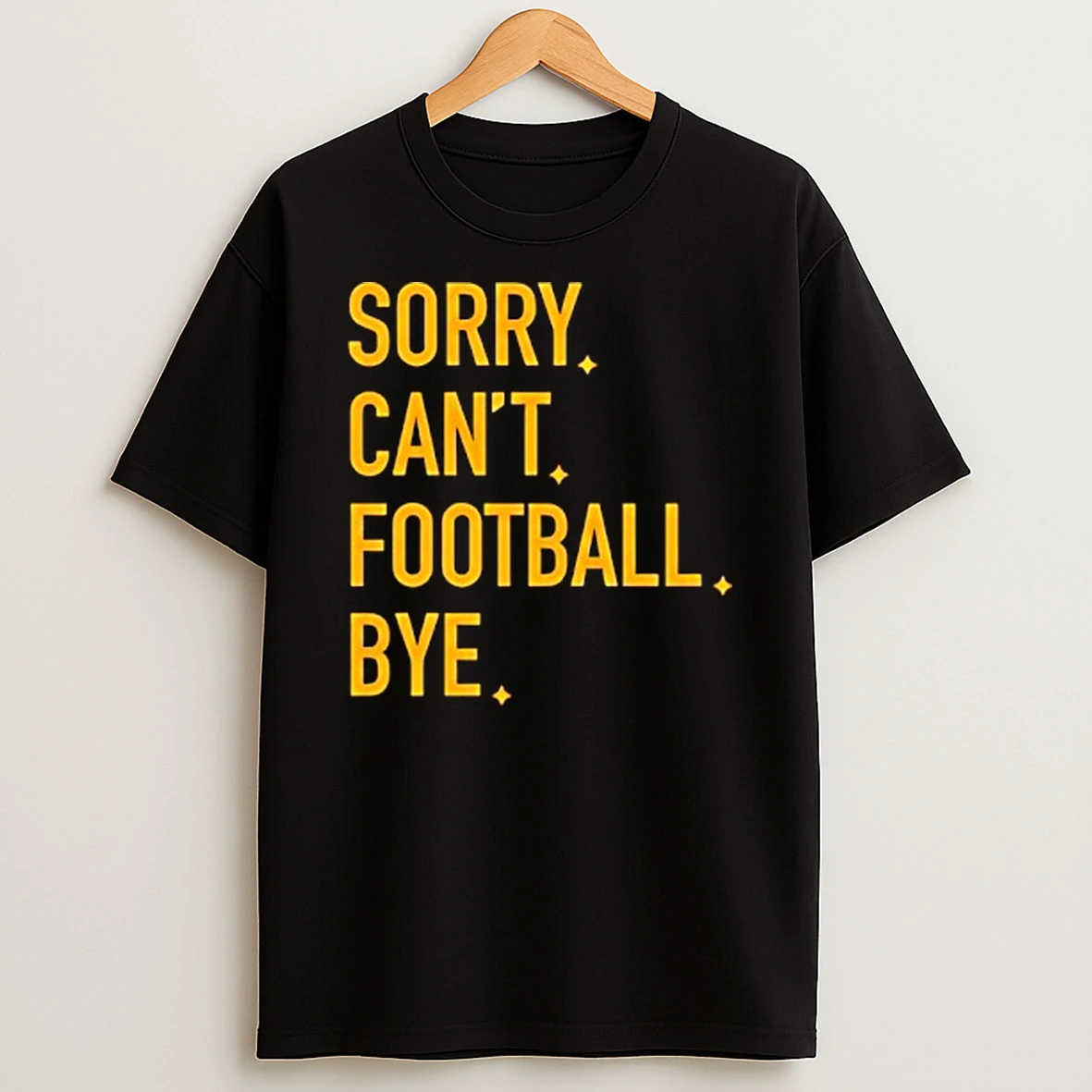Pittsburgh Steelers Sorry Cant Football Bye T Shirt