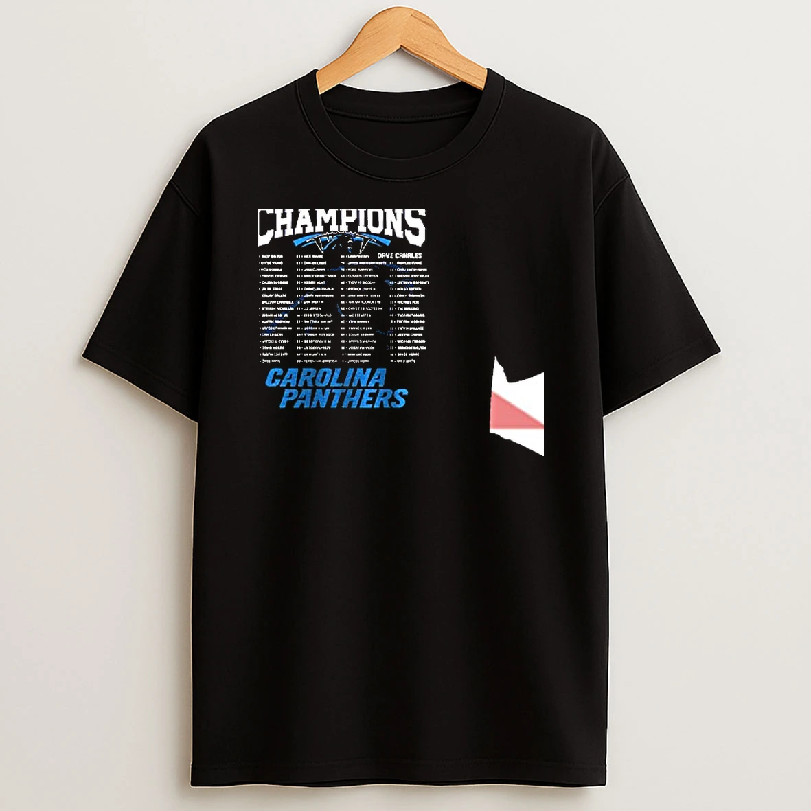 The Carolina Panthers 2025 Nfc North Division Champions Skyline Mascot T Shirt