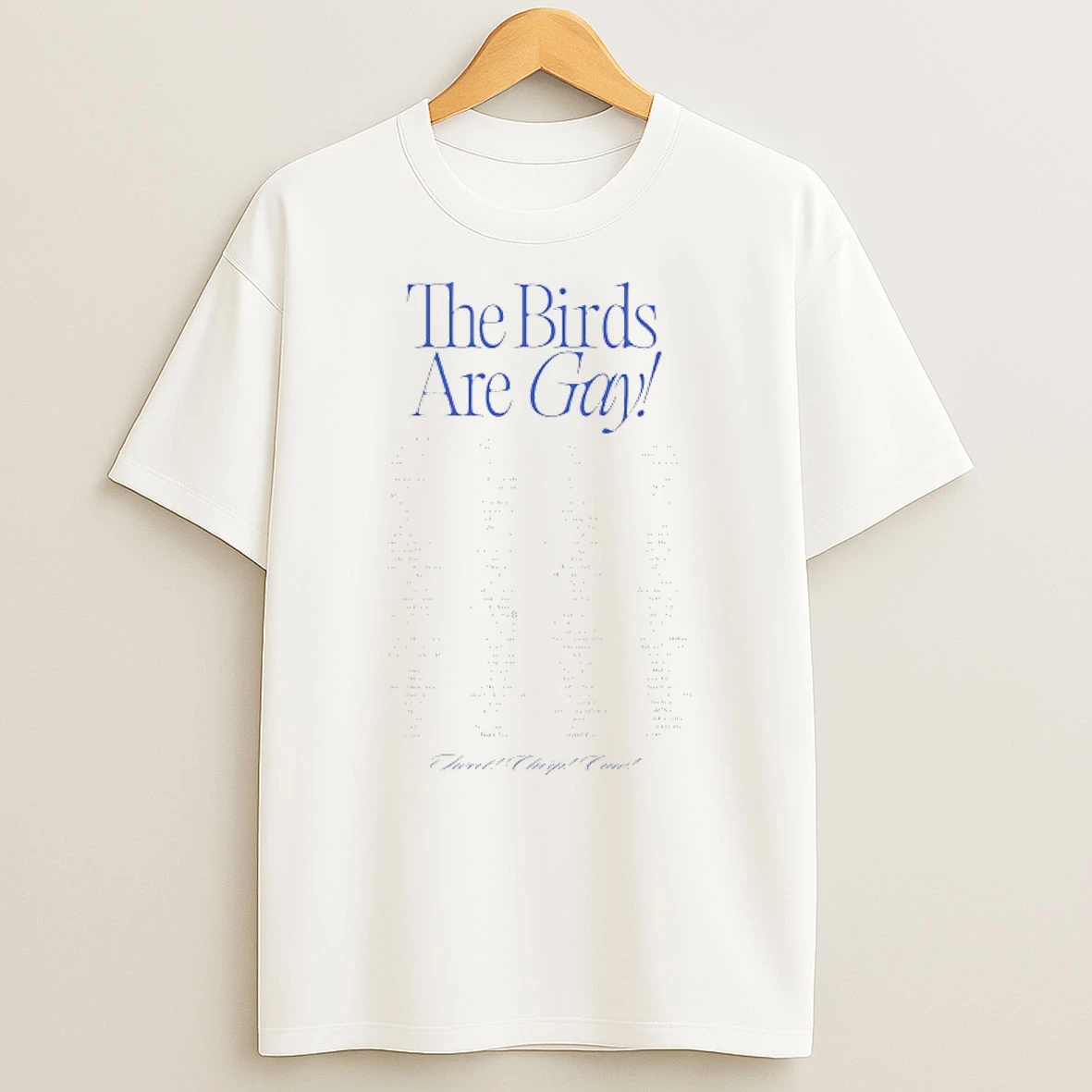 The Birds Are Gay Tour T Shirt