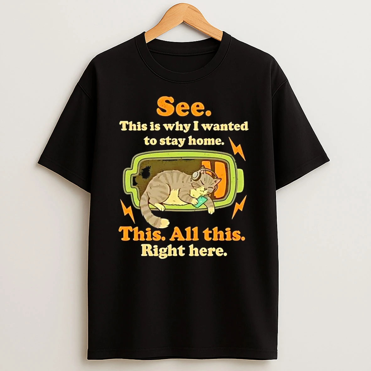 Cat See This Is Why I Wanted To Stay Home This All This Right Here T Shirt