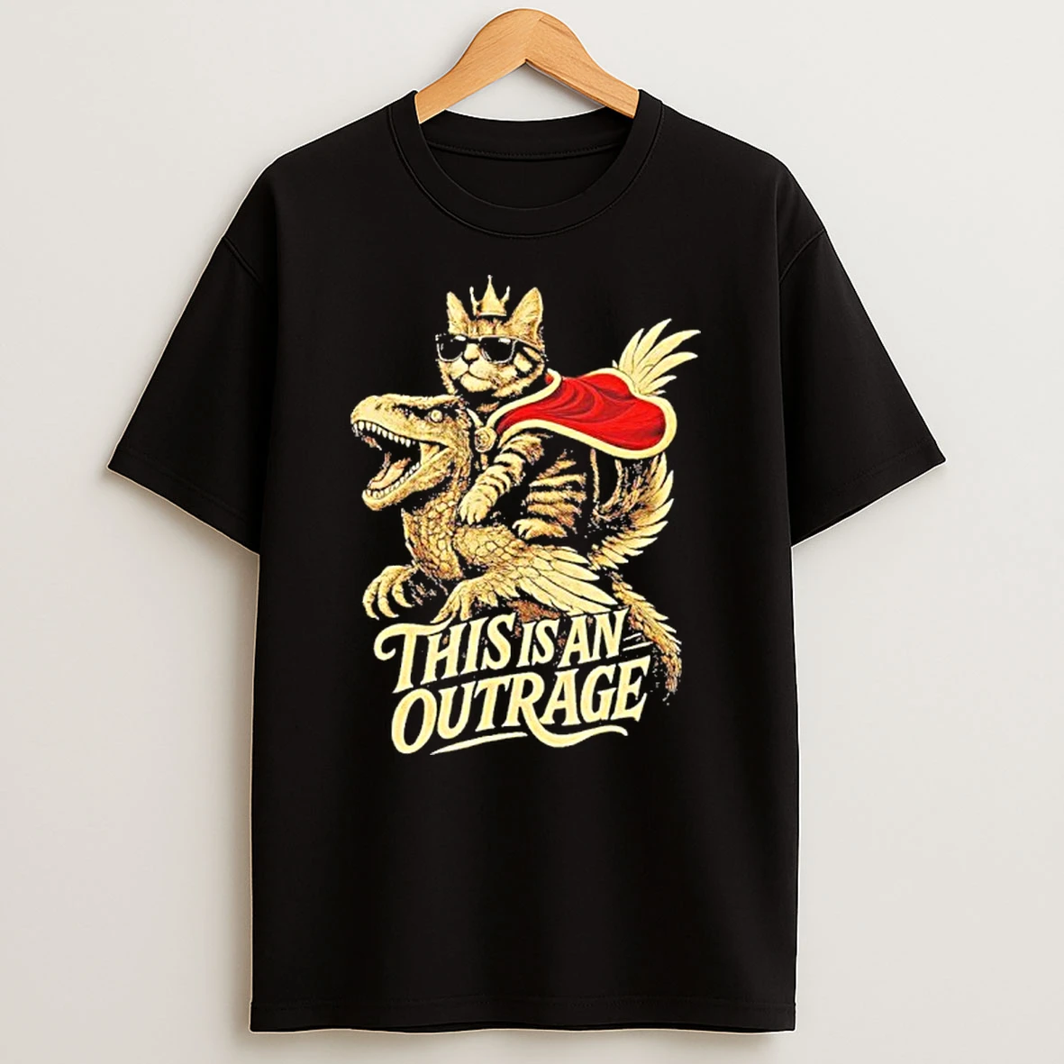 Goddammit Donut Funny Book Lover This Is An Outrage T Shirt