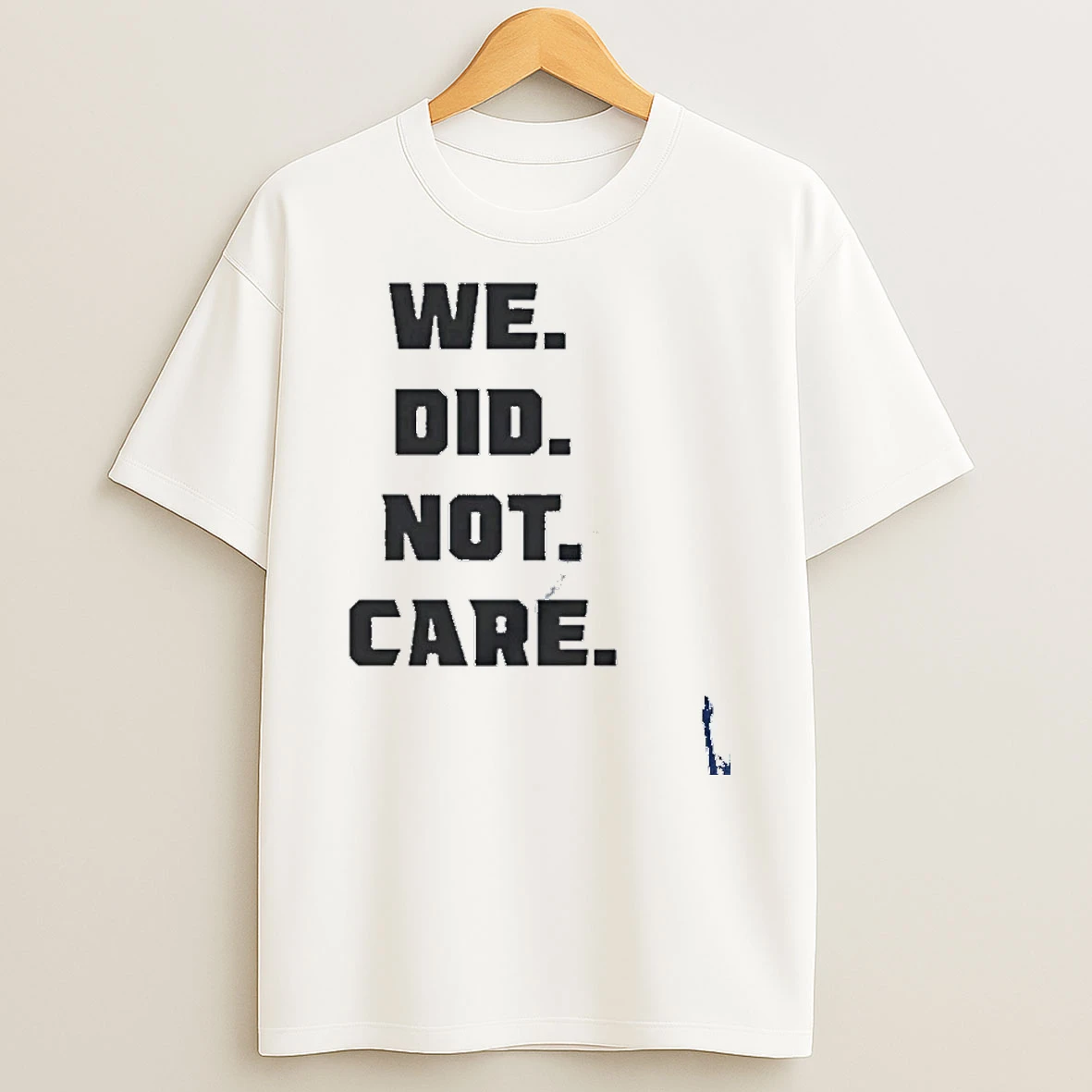 Nice Seattle Seahawks We Did Not Care T Shirt