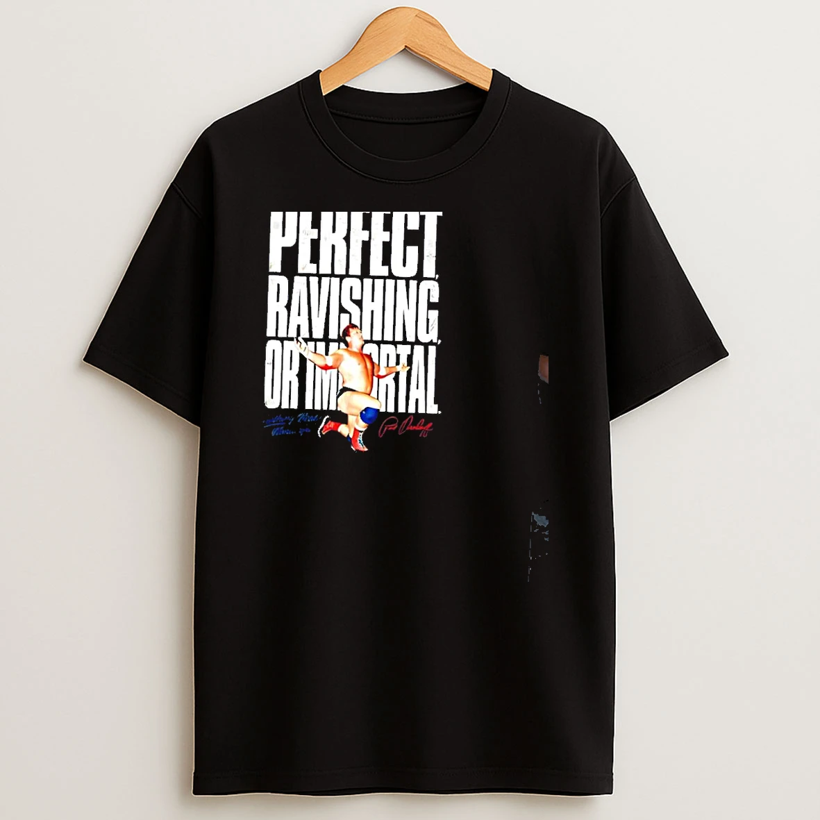 Paul Orndorff Mr Wonderful You Could Be Perfect Ravishing Or Immortal T Shirt