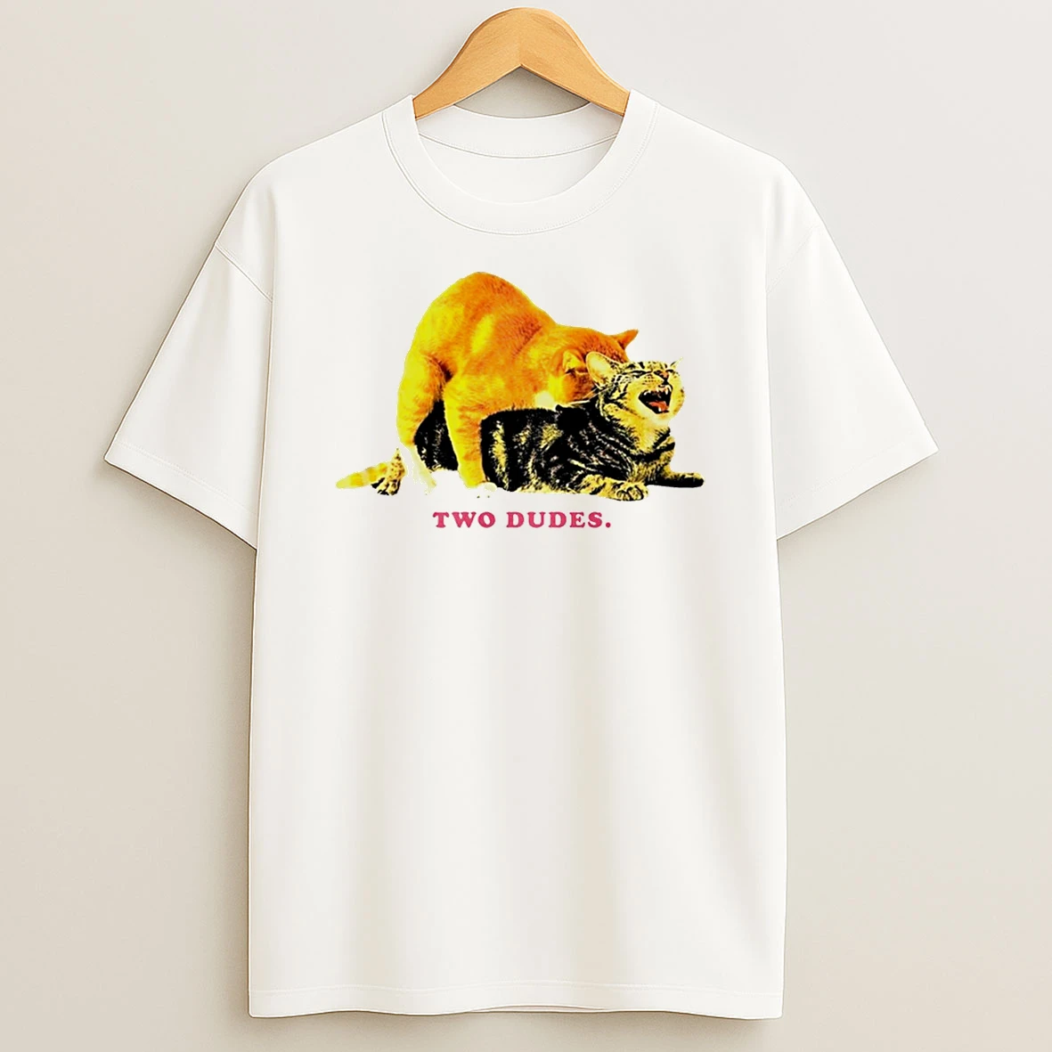 Cat Two Dudes Meme T Shirt