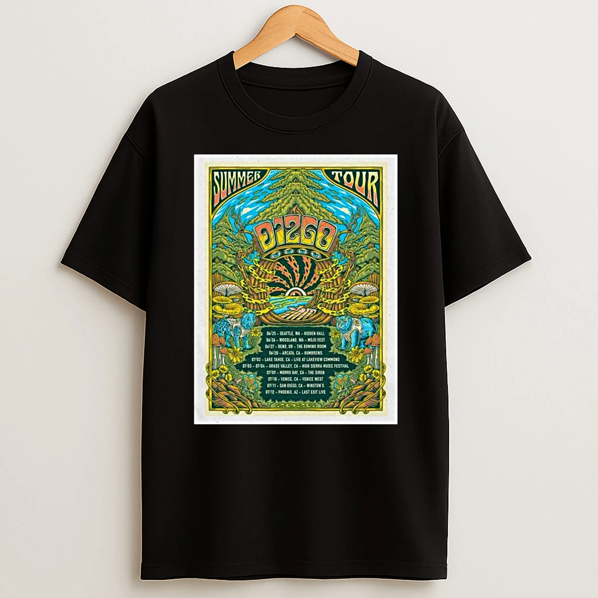 Dizgo Band Summer Tour 2026 T Shirt