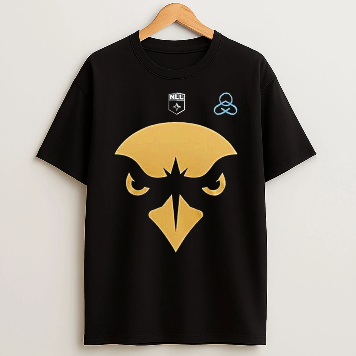 Rochester Knighthawks Cure 2026 Childhood Cancer T Shirt