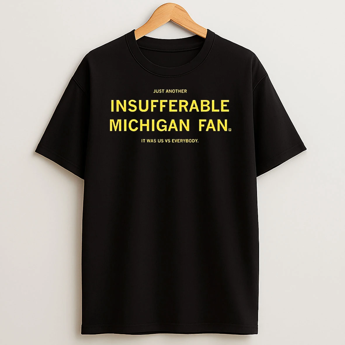 Michigan Insufferable Michigan Fan It Was Us Vs Everybody T Shirt