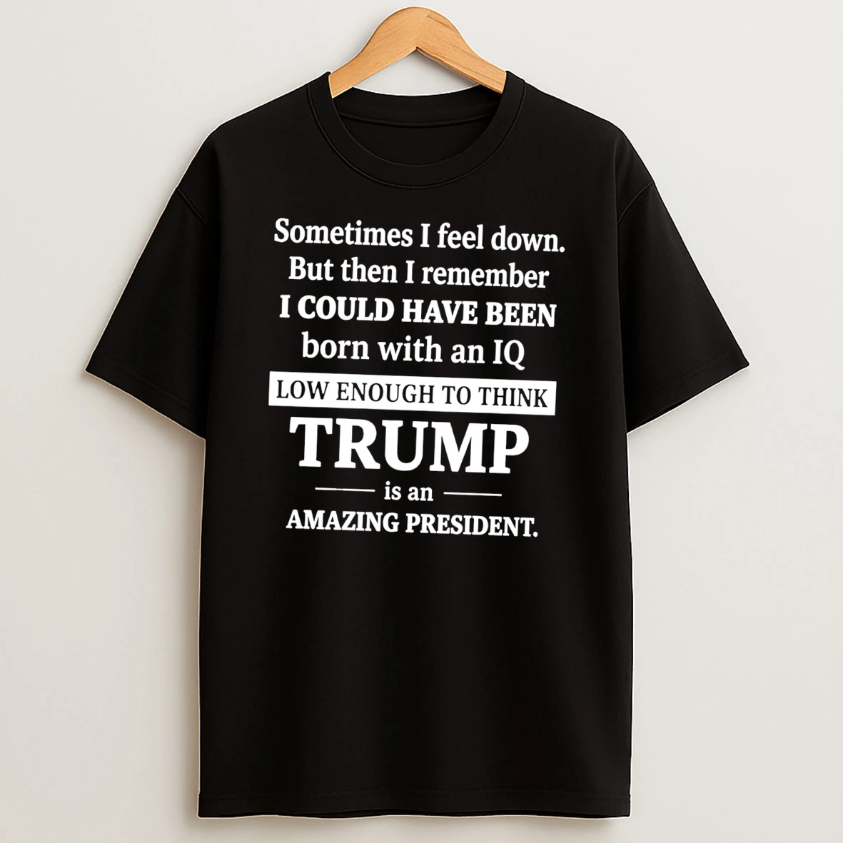Sometimes I Feel Down But Then I Remember Funny Liberal Tee Tshirt Hoodie