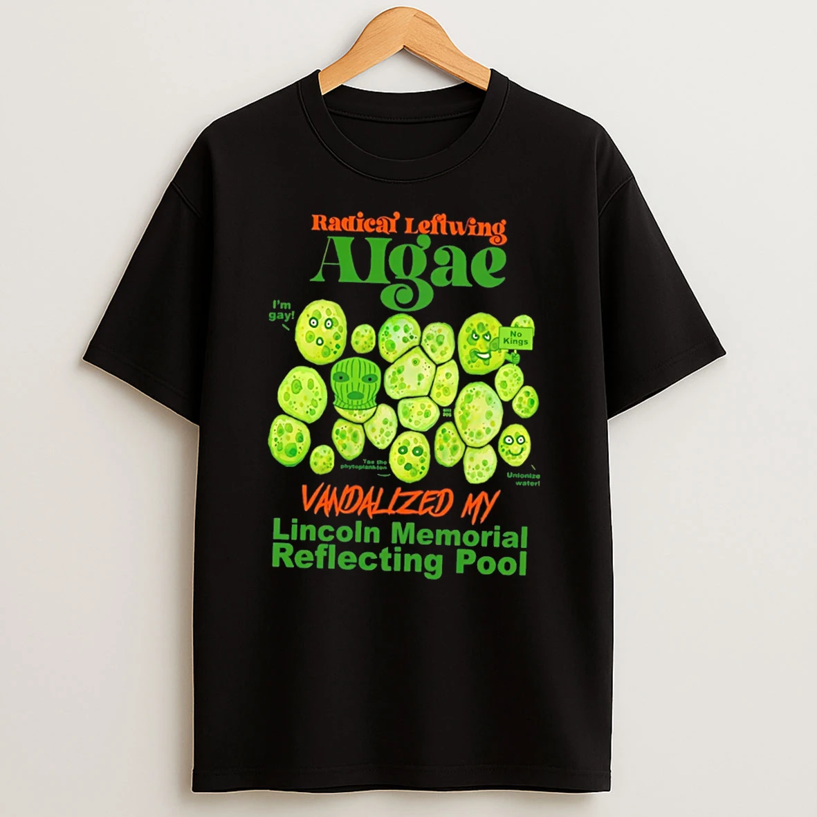 Officials Radical Leftwing Algae Vandalized My Lincoln Memorial Reflecting Pool Tee Premium T Shirt Sweatshirt Hoodie