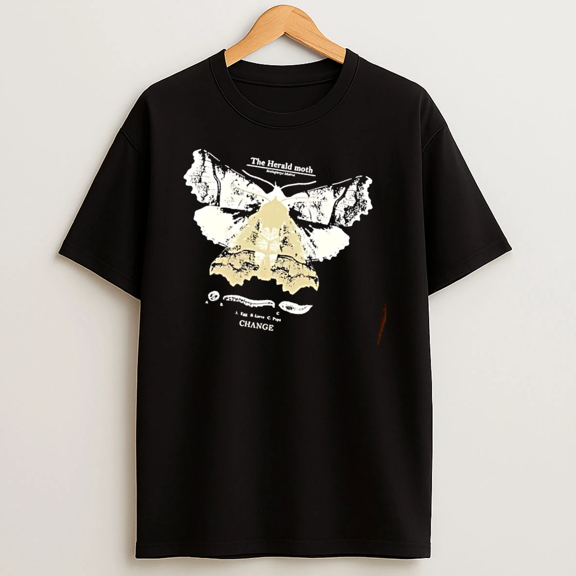 Officials The Herald Moth A Egg B Larva C Pupa Change Insect Life Cycle Mens T Shirt Sweatshirt