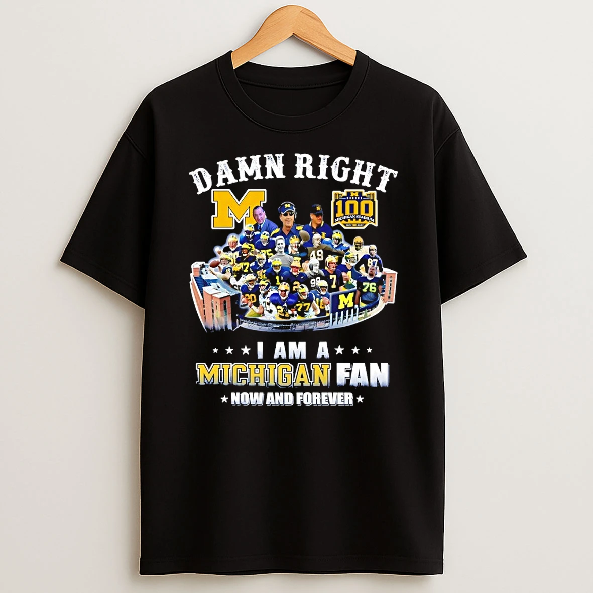 Classic Michigan Wolverines Football Player Stadium Collage Damn Right I Am A Fan T Shirt